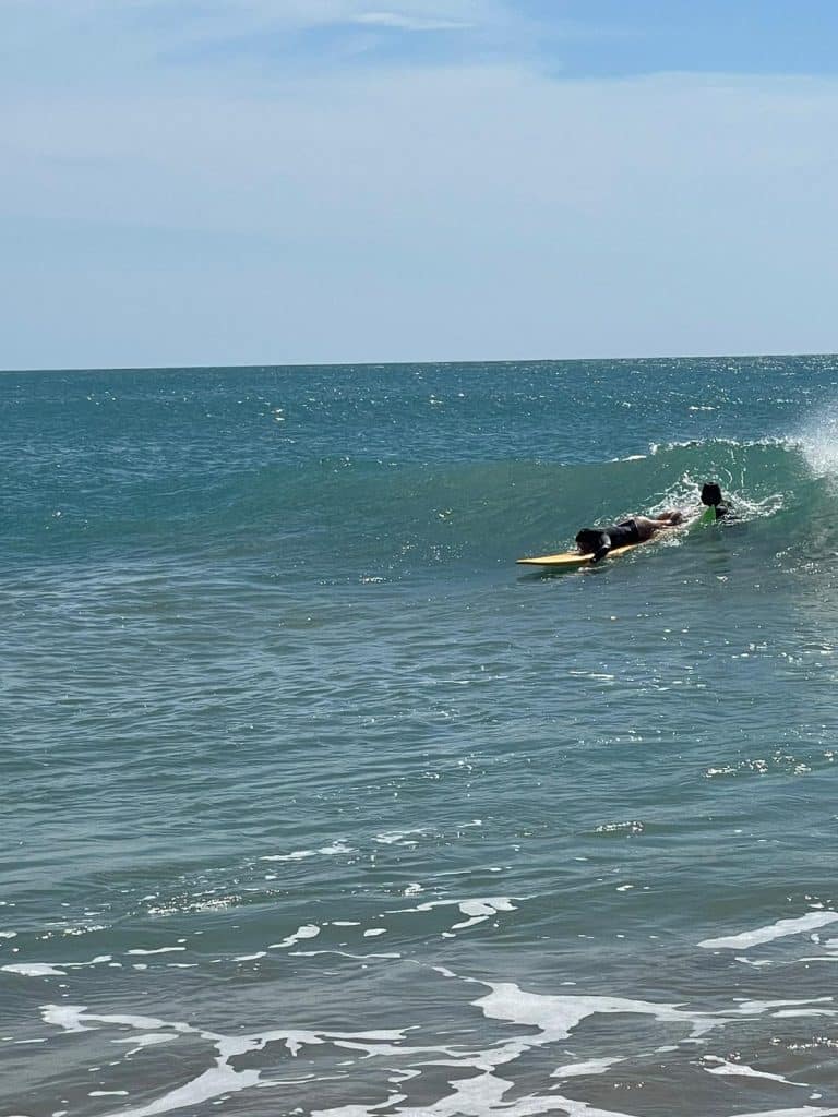 arugam bay surf school